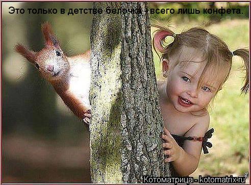 Это только в детстве белочка - всего лишь конфета.... Котоматрица: Это только в детстве белочка - всего лишь конфета.