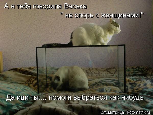А я тебя говорила Васька " не спорь с женщинами!" Да иди ты.... помоги выбраться как нибудь... Котоматрица: А я тебя говорила Васька " не спорь с женщинами!" Да иди ты.... помоги выбраться как нибудь