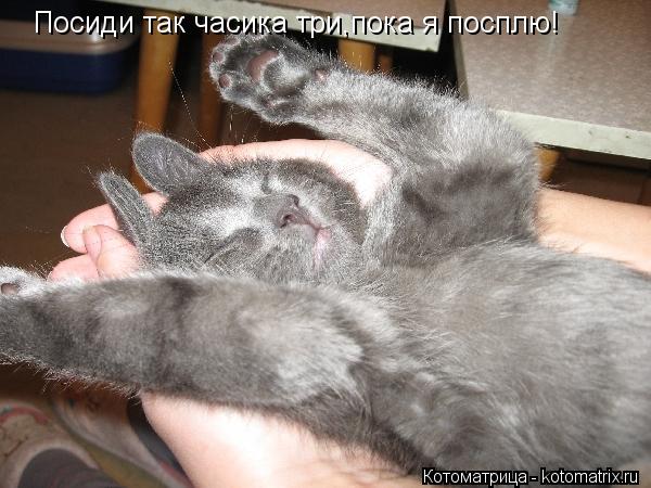 Посиди так часика три,пока я посплю!... Котоматрица: Посиди так часика три,пока я посплю!