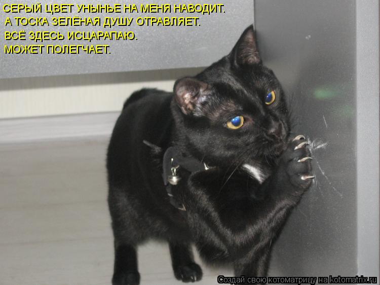 СЕРЫЙ ЦВЕТ УНЫНЬЕ НА МЕНЯ НАВОДИТ. А ТОСКА ЗЕЛЁНАЯ ДУШУ ОТРАВЛЯЕТ. ВСЁ ЗДЕСЬ ИСЦАРАПАЮ. МОЖЕТ ПОЛЕГЧА... Котоматрица: СЕРЫЙ ЦВЕТ УНЫНЬЕ НА МЕНЯ НАВОДИТ. А ТОСКА ЗЕЛЁНАЯ ДУШУ ОТРАВЛЯЕТ. ВСЁ ЗДЕСЬ ИСЦАРАПАЮ. МОЖЕТ ПОЛЕГЧАЕТ.