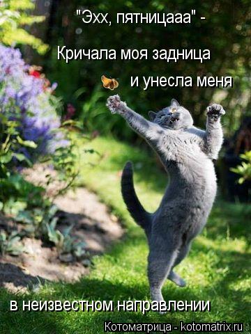 "Эхх, пятницааа" - Кричала моя задница и унесла меня в неизвестном направлении... Котоматрица: "Эхх, пятницааа" - Кричала моя задница и унесла меня в неизвестном направлении