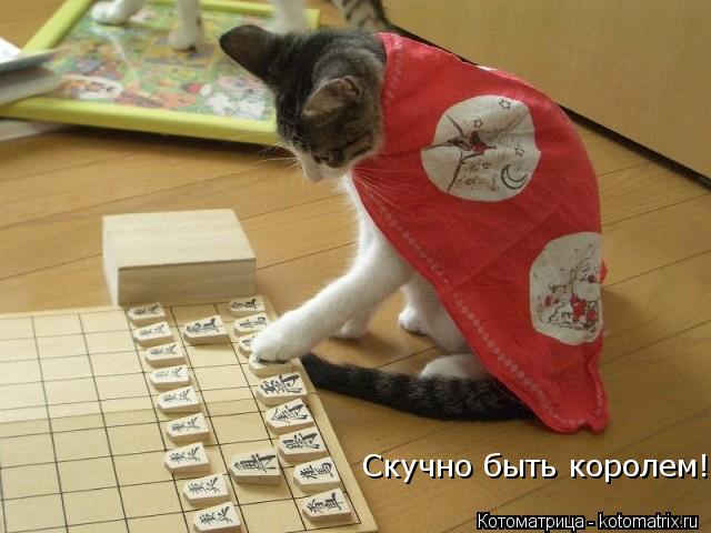 Скучно быть королем!... Котоматрица: Скучно быть королем!