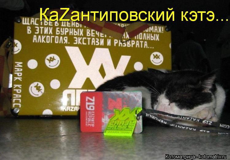 Котоматрица: КаZантиповский кэтэ...