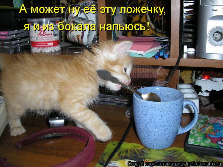 А может ну её эту ложечку, я и из бокала напьюсь!... Котоматрица: А может ну её эту ложечку, я и из бокала напьюсь!