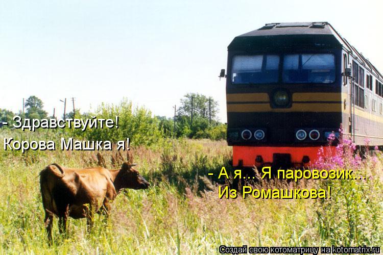Котоматрица: Корова Машка я! - Здравствуйте!  - А я... Я паровозик... Из Ромашкова!
