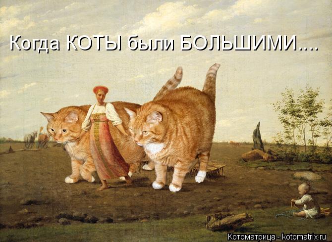 Котоматрица: Когда КОТЫ были БОЛЬШИМИ....