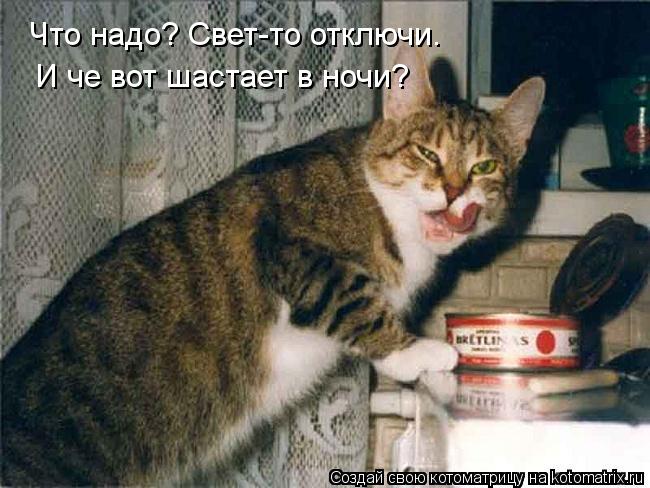 Котоматрица: Что надо? Свет-то отключи. И че вот шастает в ночи?