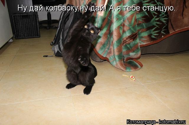 Ну дай колбаску,ну дай! А я тебе станцую.... Котоматрица: Ну дай колбаску,ну дай! А я тебе станцую.