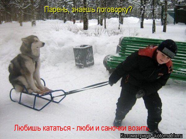 Парень, знаешь поговорку? Любишь кататься - люби и саночки возить... Котоматрица: Парень, знаешь поговорку? Любишь кататься - люби и саночки возить