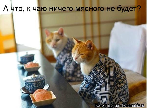 А что, к чаю ничего мясного не будет?... Котоматрица: А что, к чаю ничего мясного не будет?