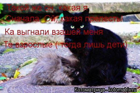 Такой же он, какая я Сначала: Ой, какая прелесть! Ка выгнали взашей меня Те взрослые ( тогда лишь дет... Котоматрица: Такой же он, какая я Сначала: Ой, какая прелесть! Ка выгнали взашей меня Те взрослые ( тогда лишь дети)