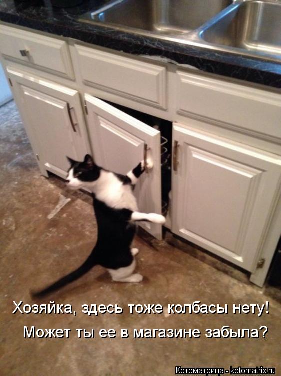 Хозяйка, здесь тоже колбасы нету! Может ты ее в магазине забыла?... Котоматрица: Хозяйка, здесь тоже колбасы нету! Может ты ее в магазине забыла?