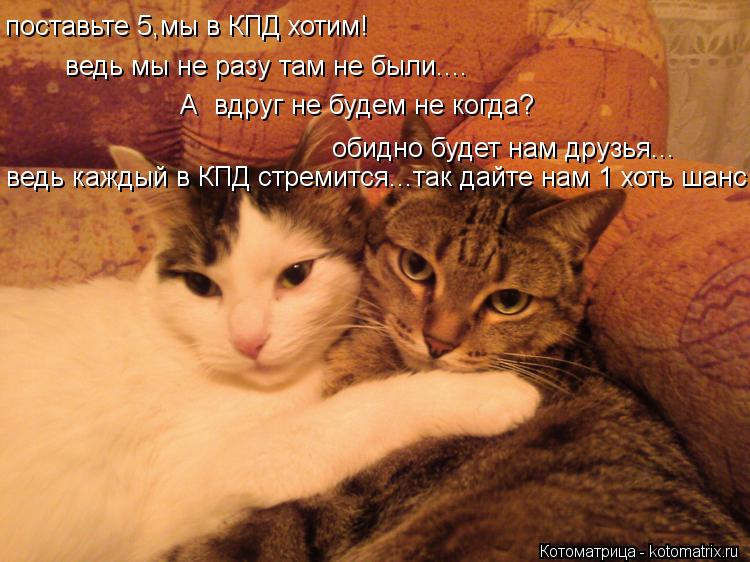 Котоматрица: ведь мы не разу там не были.... А  вдруг не будем не когда? обидно будет нам друзья... ведь каждый в КПД стремится...так дайте нам 1 хоть шанс! пост