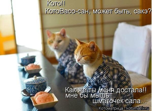 КотоВасо-сан, может быть, сакэ? Как же ты меня достала!! мне бы мышь... шматочек сала... Кото!!... Котоматрица: КотоВасо-сан, может быть, сакэ? Как же ты меня достала!! мне бы мышь... шматочек сала... Кото!!