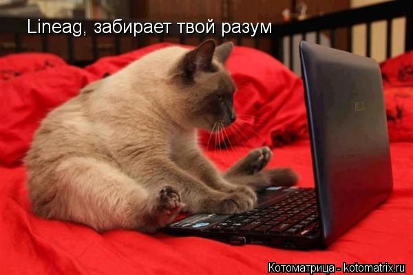 Lineag, забирает твой разум... Котоматрица: Lineag, забирает твой разум