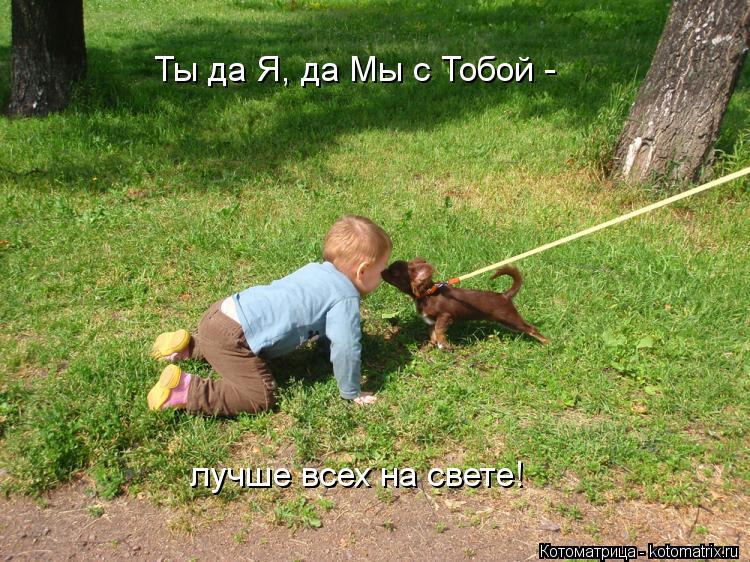 Ты да Я, да Мы с Тобой - лучше всех на свете!... Котоматрица: Ты да Я, да Мы с Тобой - лучше всех на свете!