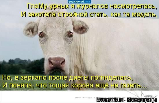 Но, в зеркало после диеты погляделась, И поняла, что тощая корова ещё не газель... И захотела стройно... Котоматрица: Но, в зеркало после диеты погляделась, И поняла, что тощая корова ещё не газель... И захотела стройной стать, как та модель, ГлаМу-урных я журн