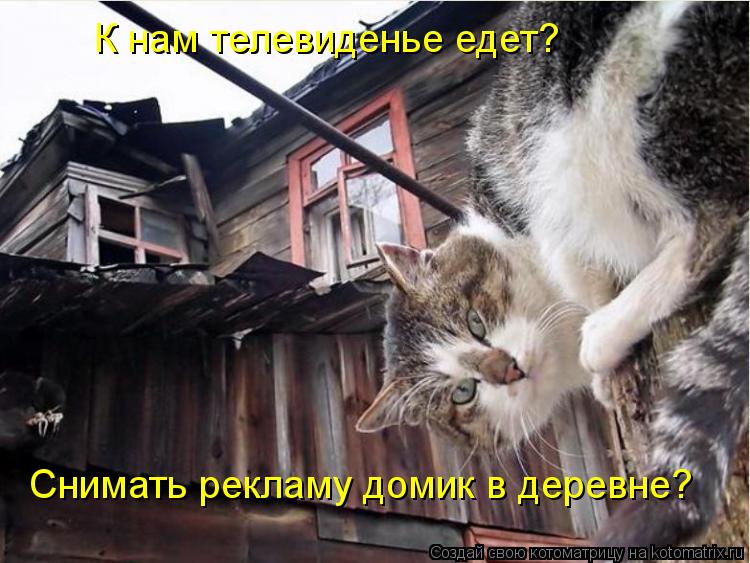 К нам телевиденье едет? Снимать рекламу домик в деревне?... Котоматрица: К нам телевиденье едет? Снимать рекламу домик в деревне?