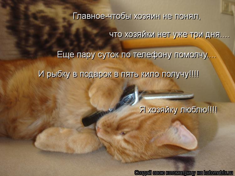 Главное-чтобы хозяин не понял, что хозяйки нет уже три дня.... Еще пару суток по телефону помолчу....... Котоматрица: Главное-чтобы хозяин не понял, что хозяйки нет уже три дня.... Еще пару суток по телефону помолчу.... И рыбку в подарок в пять кило получу!!!! Я хо