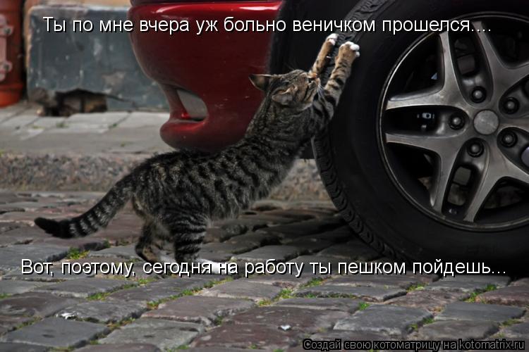 Котоматрица: Ты по мне вчера уж больно веничком прошелся.... Вот, поэтому, сегодня на работу ты пешком пойдешь...
