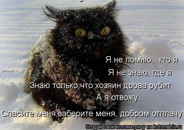 Я не помню, кто я Я не знаю, где я Знаю только,что хозяин дрова рубит А я отвожу.... Спасите меня... Котоматрица: Я не помню, кто я Я не знаю, где я Знаю только,что хозяин дрова рубит А я отвожу.... Спасите меня,заберите меня, добром отплачу!!!!