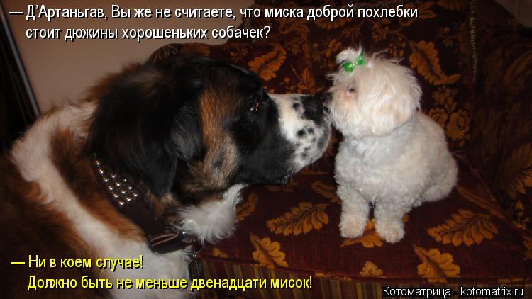 Котоматрица: — Д’Артаньгав, Вы же не считаете, что миска доброй похлебки стоит дюжины хорошеньких собачек? — Ни в коем случае! Должно быть не меньше две