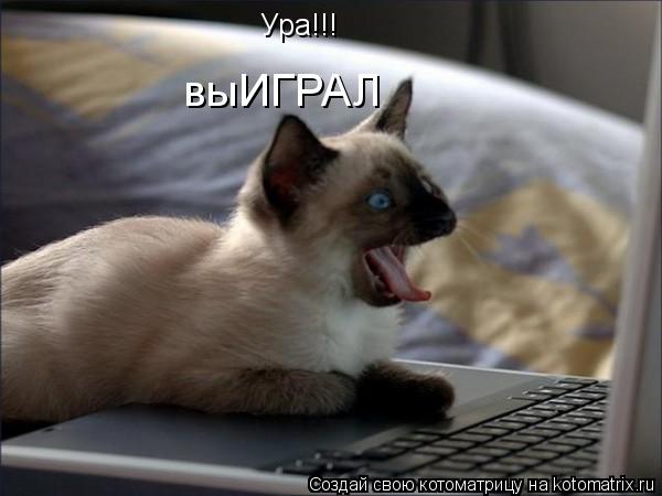 Котоматрица: Ура!!! выИГРАЛ