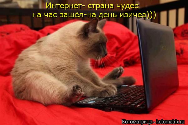 Интернет- страна чудес на час зашёл-на день изичез)))... Котоматрица: Интернет- страна чудес на час зашёл-на день изичез)))