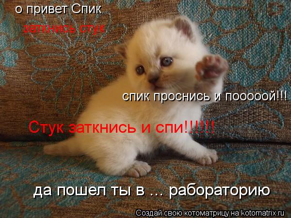 о привет Спик заткнись стук спик проснись и пооооой!!! Стук заткнись и спи!!!!!! да пошел ты в ... ра... Котоматрица: о привет Спик заткнись стук спик проснись и пооооой!!! Стук заткнись и спи!!!!!! да пошел ты в ... рабораторию