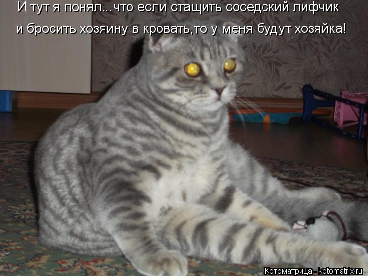 И тут я понял...что если стащить соседский лифчик и бросить хозяину в кровать,то у меня будут хозяйка... Котоматрица: И тут я понял...что если стащить соседский лифчик и бросить хозяину в кровать,то у меня будут хозяйка!