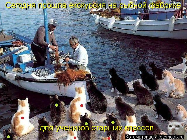 Сегодня прошла екскурсия на рыбной фабрике для учеников старших классов... Котоматрица: Сегодня прошла екскурсия на рыбной фабрике для учеников старших классов