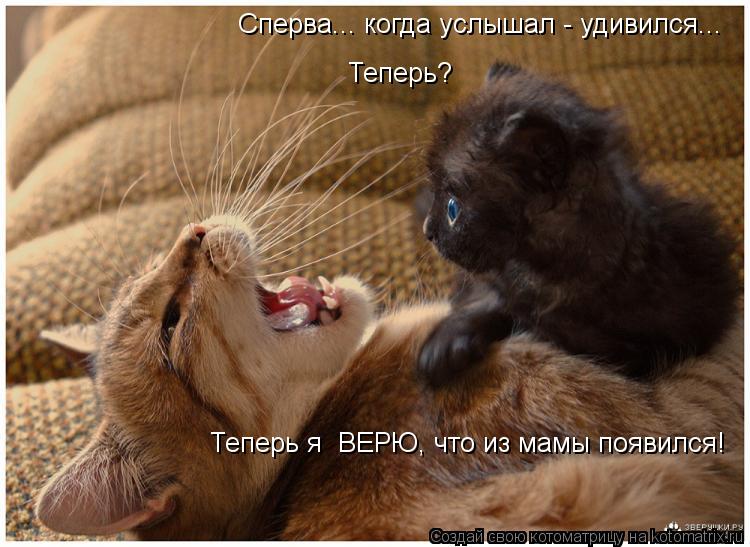 Сперва... когда услышал - удивился... Теперь? Теперь я ВЕРЮ, что из мамы появился!... Котоматрица: Сперва... когда услышал - удивился... Теперь? Теперь я ВЕРЮ, что из мамы появился!
