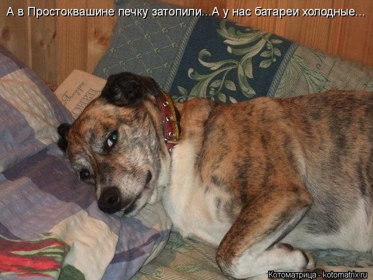 А в Простоквашине печку затопили...А у нас батареи холодные...... Котоматрица: А в Простоквашине печку затопили...А у нас батареи холодные...