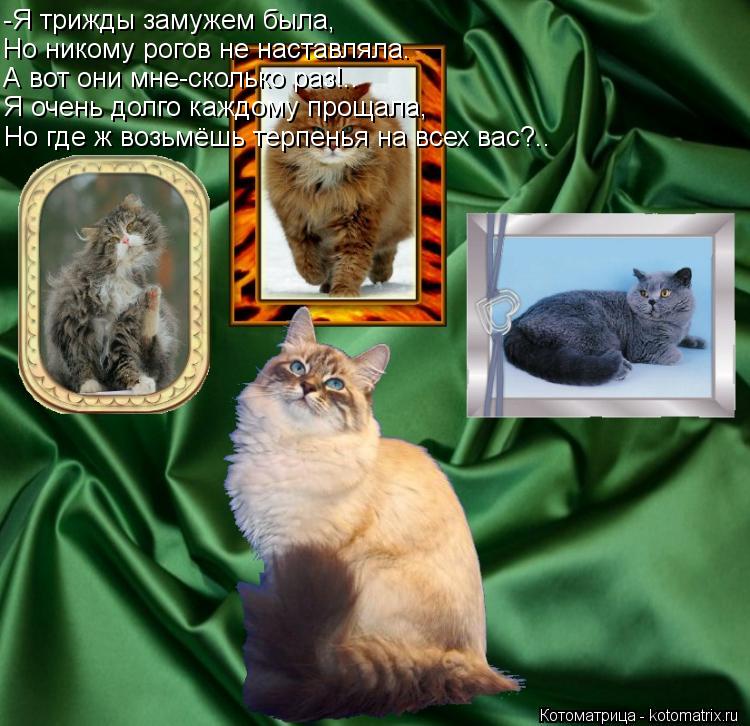 -Я трижды замужем была, Но никому рогов не наставляла. А вот они мне-сколько раз!.. Я очень долго каж... Котоматрица: -Я трижды замужем была, Но никому рогов не наставляла. А вот они мне-сколько раз!.. Я очень долго каждому прощала, Но где ж возьмёшь терпенья н