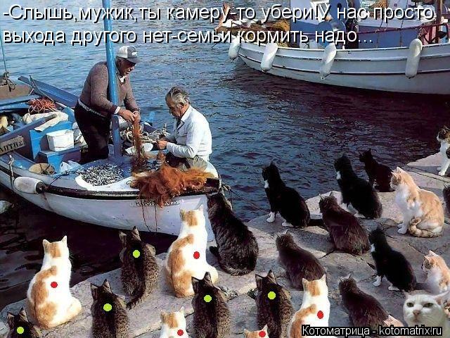 -Слышь,мужик,ты камеру-то убери!У нас просто выхода другого нет-семьи кормить надо...... Котоматрица: -Слышь,мужик,ты камеру-то убери!У нас просто выхода другого нет-семьи кормить надо...