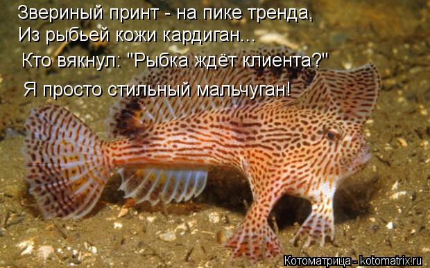 Звериный принт - на пике тренда, Кто вякнул: "Рыбка ждёт клиента?" Я просто стильный мальчуган! Из ры... Котоматрица: Звериный принт - на пике тренда, Кто вякнул: "Рыбка ждёт клиента?" Я просто стильный мальчуган! Из рыбьей кожи кардиган...