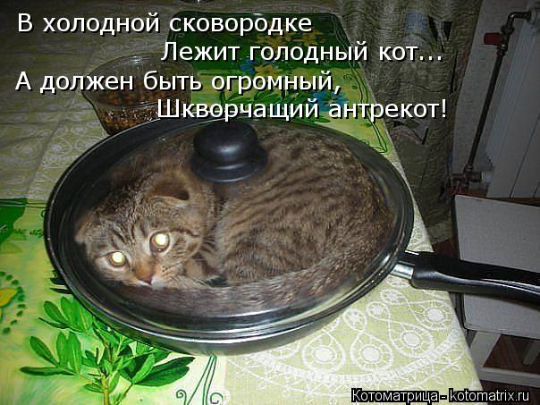 В холодной сковородке Лежит голодный кот... А должен быть огромный, Шкворчащий антрекот!... Котоматрица: В холодной сковородке Лежит голодный кот... А должен быть огромный, Шкворчащий антрекот!