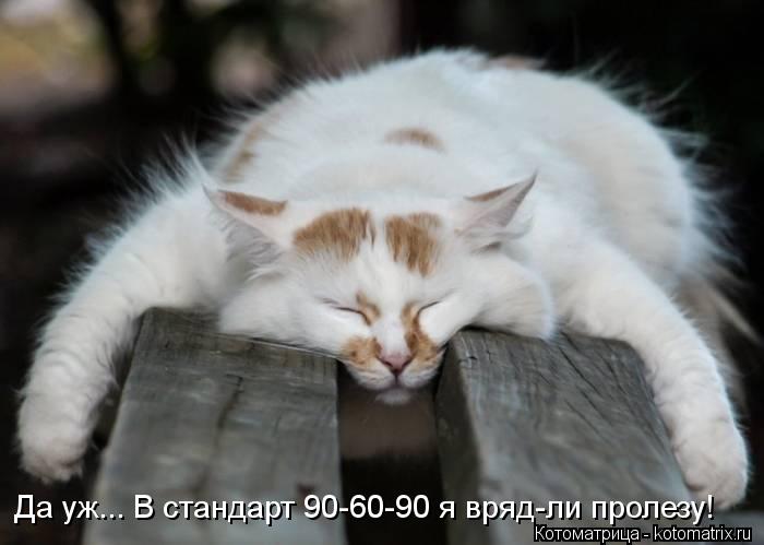 Да уж... В стандарт 90-60-90 я вряд-ли пролезу!... Котоматрица: Да уж... В стандарт 90-60-90 я вряд-ли пролезу!