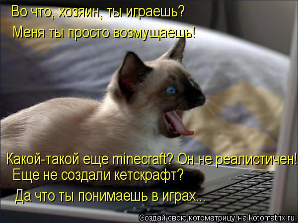 Какой-такой еще minecraft? Он не реалистичен! Еще не создали кетскрафт? Да что ты понимаешь в играх..... Котоматрица: Какой-такой еще minecraft? Он не реалистичен! Еще не создали кетскрафт? Да что ты понимаешь в играх... Во что, хозяин, ты играешь? Меня ты просто воз