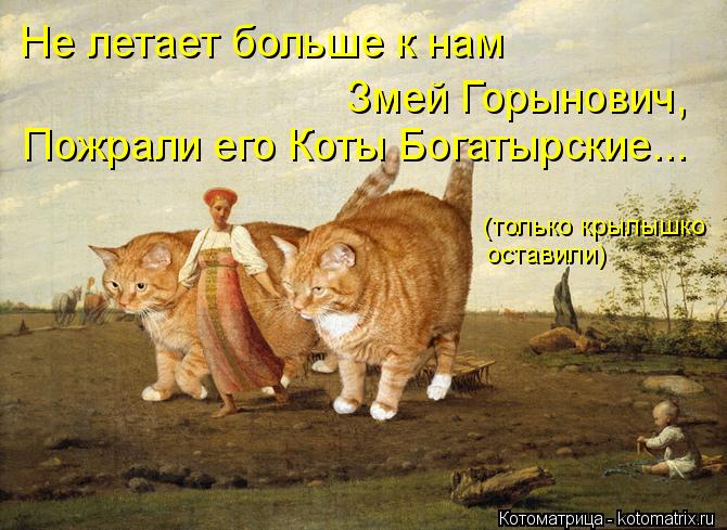 Котоматрица: (только крылышко оставили) Не летает больше к нам  Змей Горынович, Пожрали его Коты Богатырские...