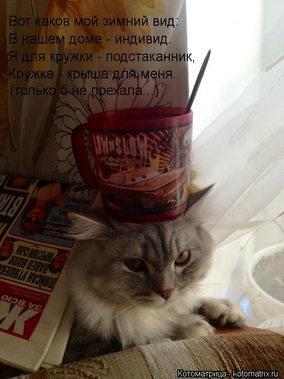 Котоматрица: Вот каков мой зимний вид: В нашем доме - индивид. Я для кружки - подстаканник, Кружка - крыша для меня. (только б не поехала...)