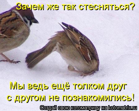 Зачем же так стесняться? Мы ведь ещё толком друг с другом не познакомились!... Котоматрица: Зачем же так стесняться? Мы ведь ещё толком друг с другом не познакомились!