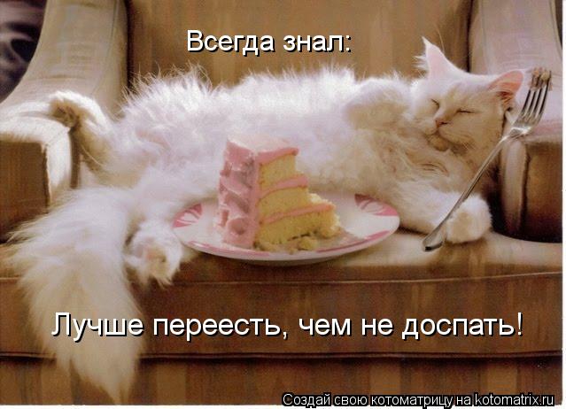 Всегда знал: Всегда знал: Лучше переесть, чем не доспать!... Котоматрица: Всегда знал: Всегда знал: Лучше переесть, чем не доспать!