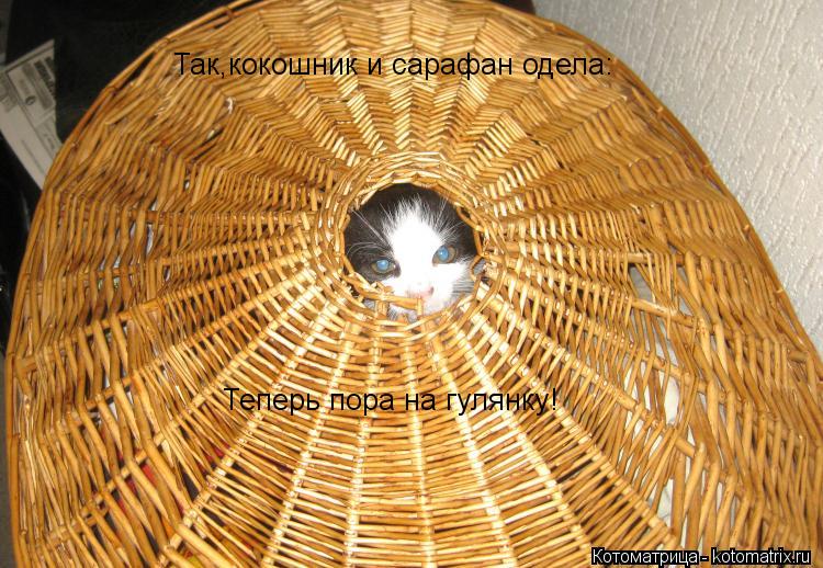 Так,кокошник и сарафан одела: Теперь пора на гулянку!... Котоматрица: Так,кокошник и сарафан одела: Теперь пора на гулянку!