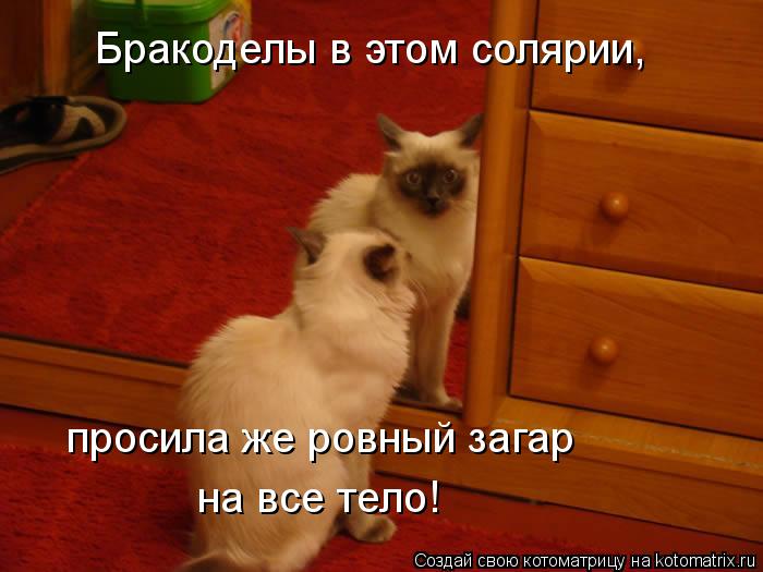 Котоматрица: Бракоделы в этом солярии, просила же ровный загар на все тело!