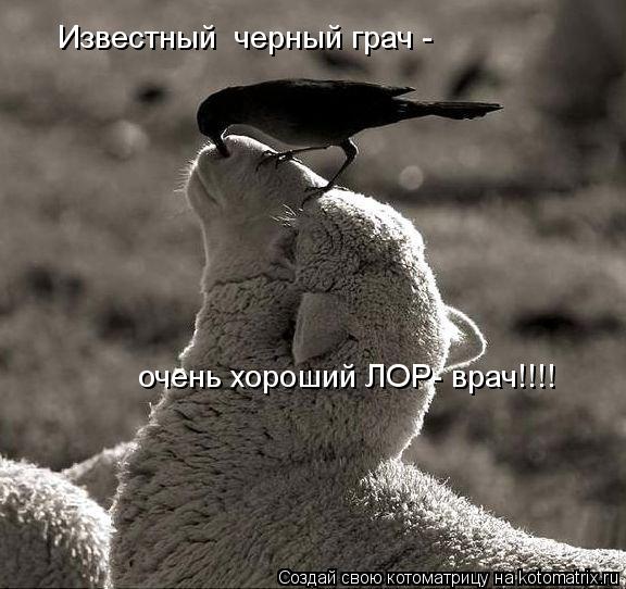 Известный черный грач - очень хороший ЛОР- врач!!!!... Котоматрица: Известный черный грач - очень хороший ЛОР- врач!!!!