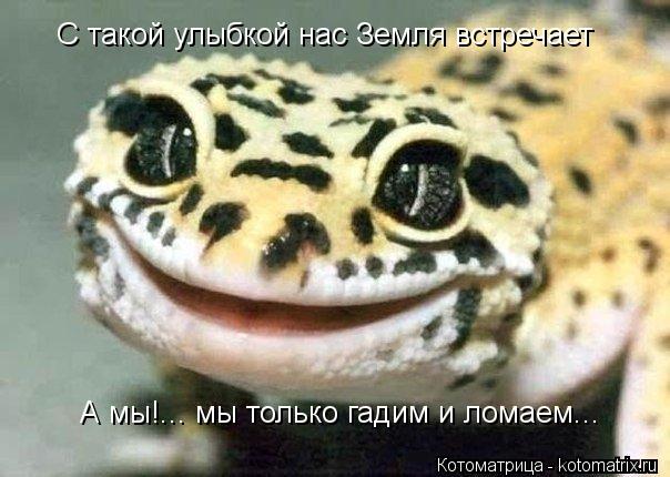 Котоматрица: С такой улыбкой нас Земля встречает А мы!... мы только гадим и ломаем...