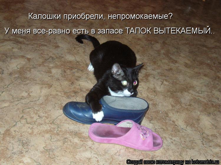 Калошки приобрели, непромокаемые? У меня все-равно есть в запасе ТАПОК ВЫТЕКАЕМЫЙ..... Котоматрица: Калошки приобрели, непромокаемые? У меня все-равно есть в запасе ТАПОК ВЫТЕКАЕМЫЙ..