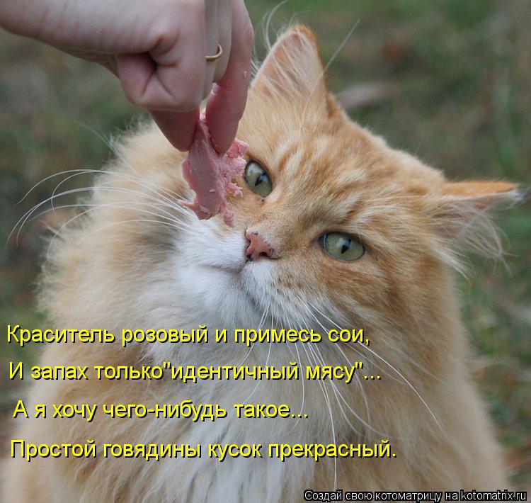 Краситель розовый и примесь сои, И запах только"идентичный мясу"... А я хочу чего-нибудь такое... Про... Котоматрица: Краситель розовый и примесь сои, И запах только"идентичный мясу"... А я хочу чего-нибудь такое... Простой говядины кусок прекрасный.