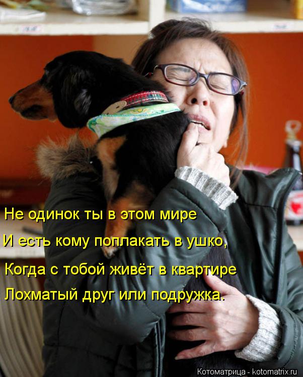 Котоматрица: Не одинок ты в этом мире И есть кому поплакать в ушко, Когда с тобой живёт в квартире Лохматый друг или подружка.